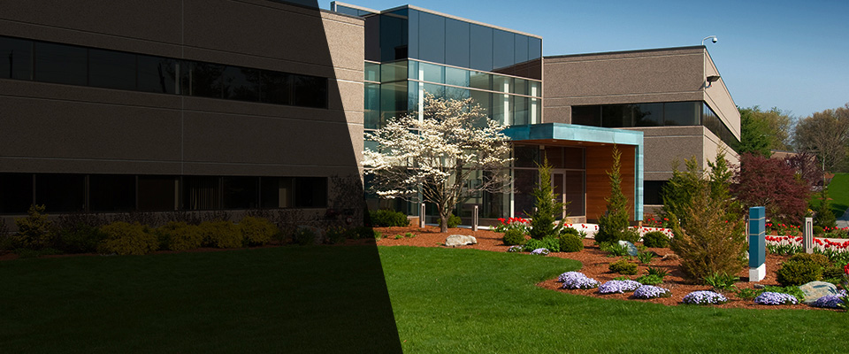 Cranford Landscapers