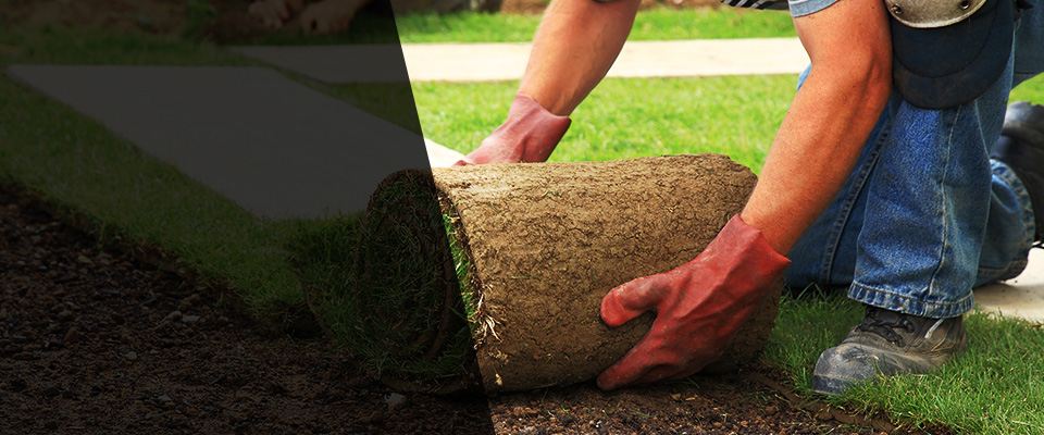 Cranford Landscapers